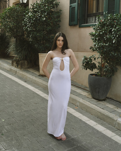 נופר - משלוח מהיר